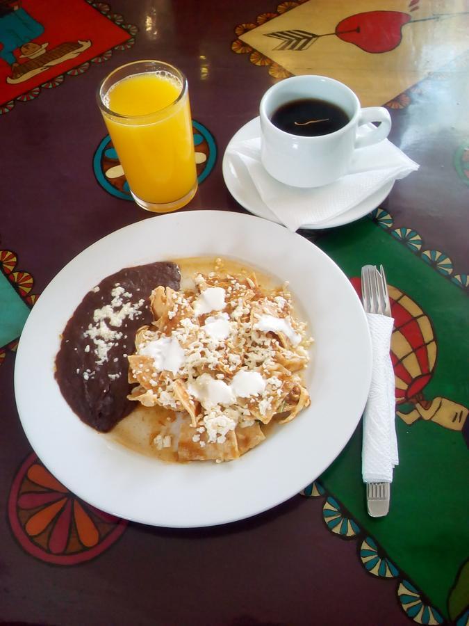 Posada Del Cafeto Xalapa Exterior photo