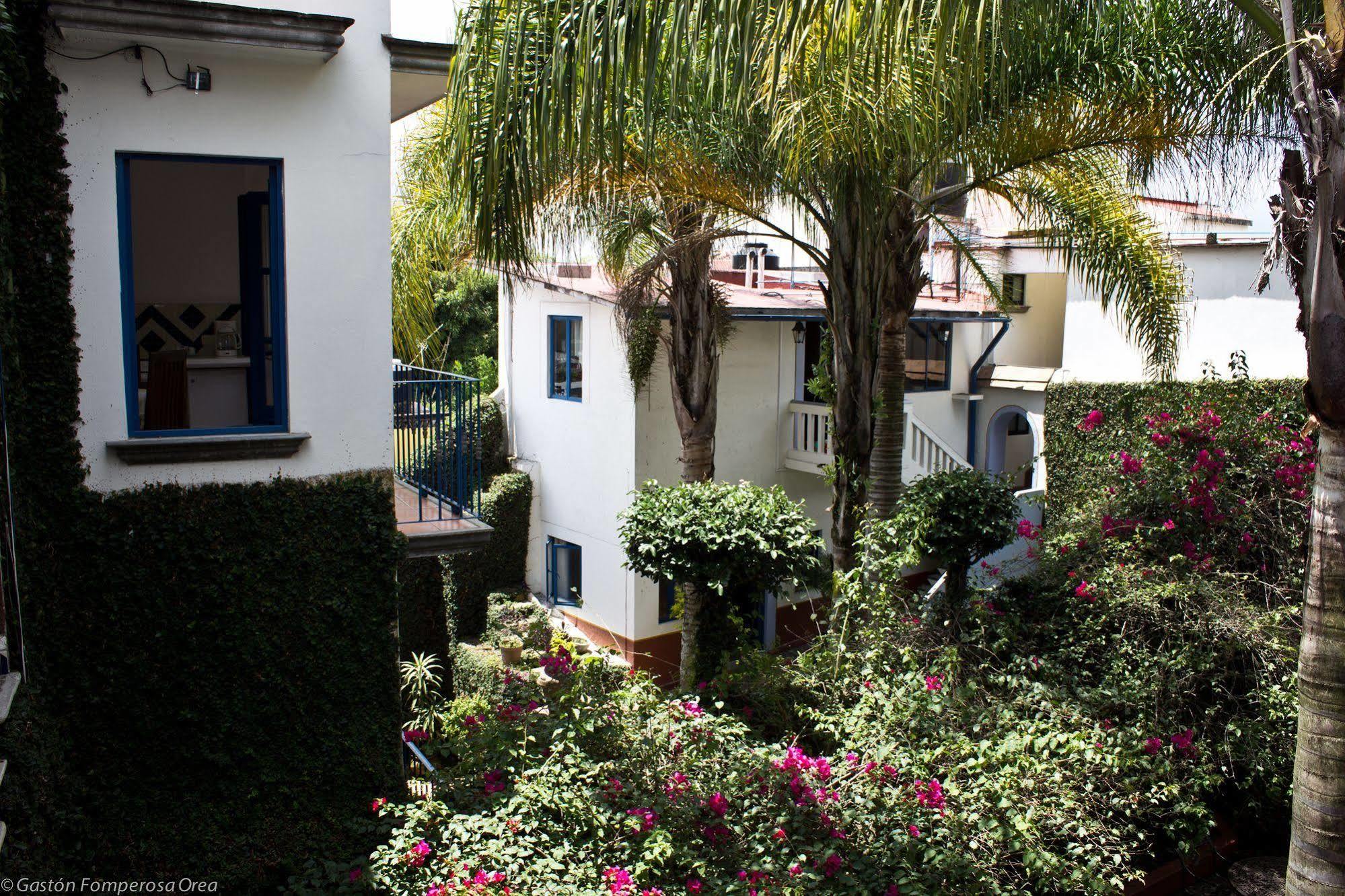 Posada Del Cafeto Xalapa Exterior photo